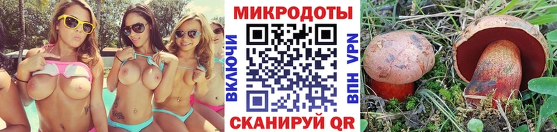 kraken сайт Кизилюрт Псилоцибиновые грибы прущие грибы как найти наркотики
